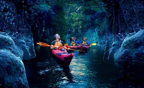 Tauranga: Evening Glow Worm Kayak Tour