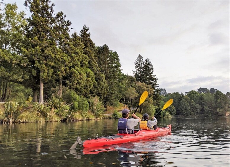 Picture 7 for Activity Tauranga: Evening Glowworm Kayak Tour