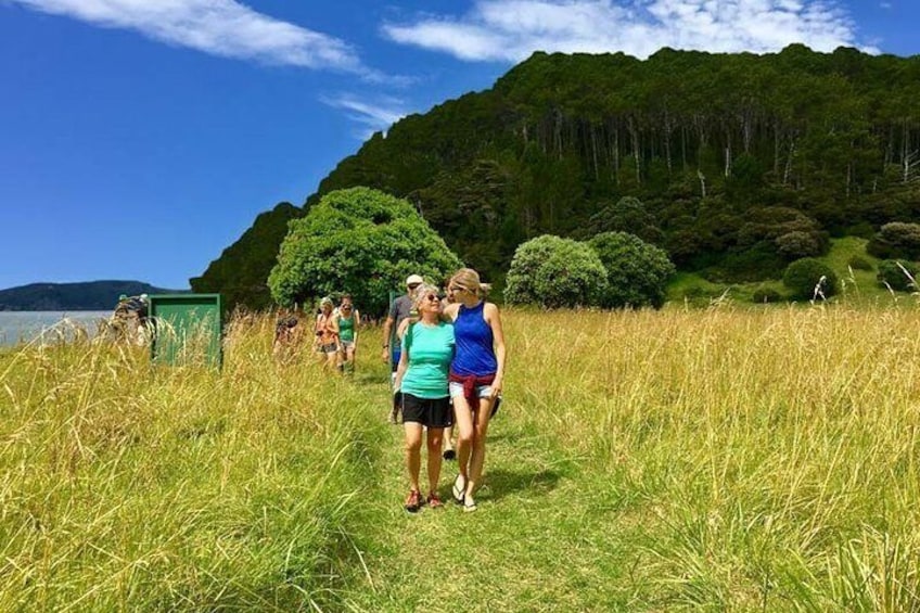 Half Day - Hole in the Rock Cruise & Island Stopover