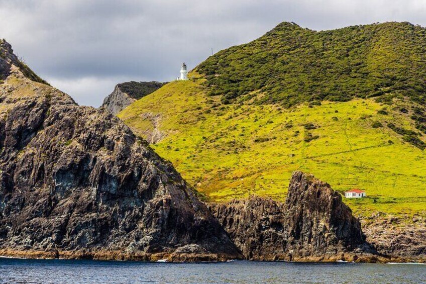 Half Day - Hole in the Rock Cruise & Island Stopover