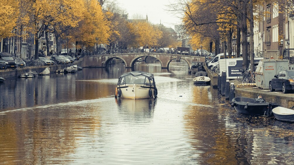 Picture 5 for Activity Amsterdam: Evening Cruise in English with Open Bar Option