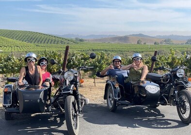 San Luis Obispo: Private Sidecar Wine Tour with Wine Tasting