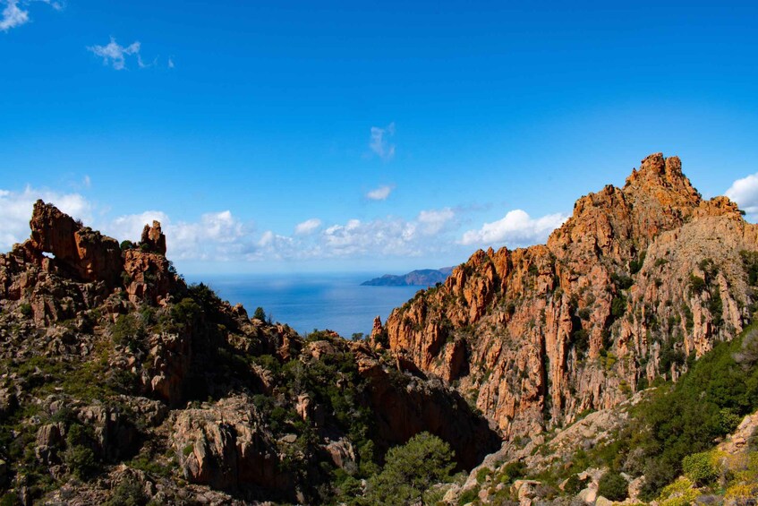 Picture 3 for Activity Porto: Creeks of Piana & Capo Rosso Guided Boat Tour