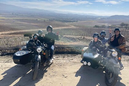 Sonoma : Visite privée de vignobles en side-car tandem