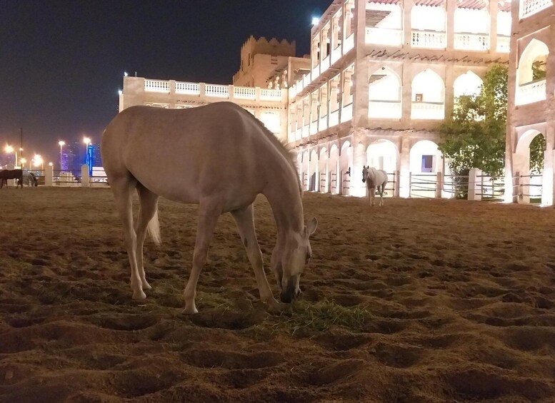 Picture 6 for Activity Doha: Night City Tour with Transfer