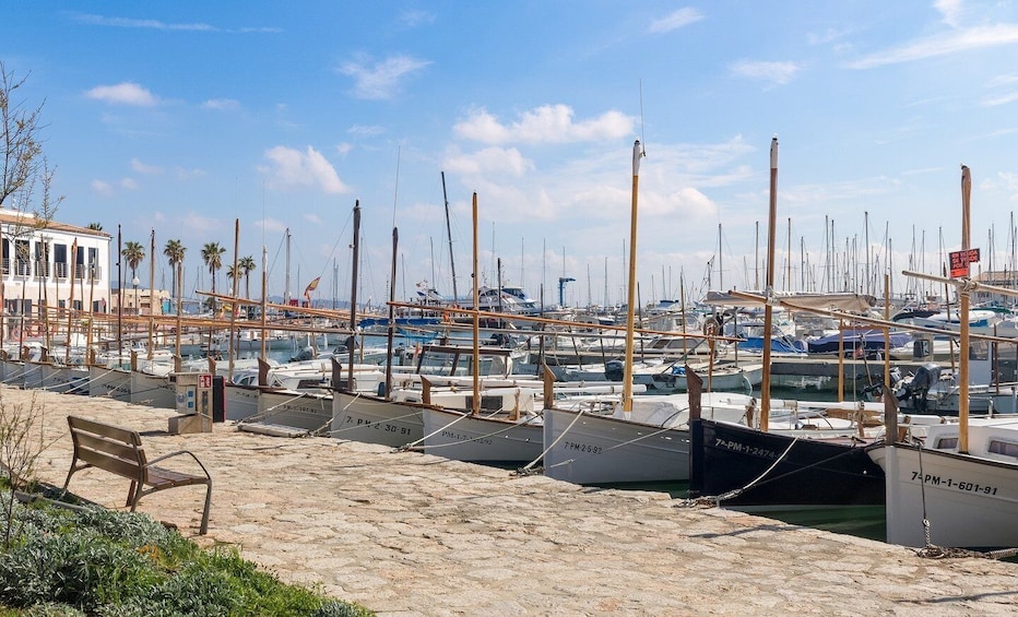 Picture 6 for Activity Cap de Formentor: Market, Beach, and Alcudia Tour