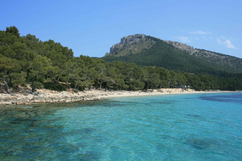 Picture 4 for Activity Cap de Formentor: Market, Beach, and Alcudia Tour