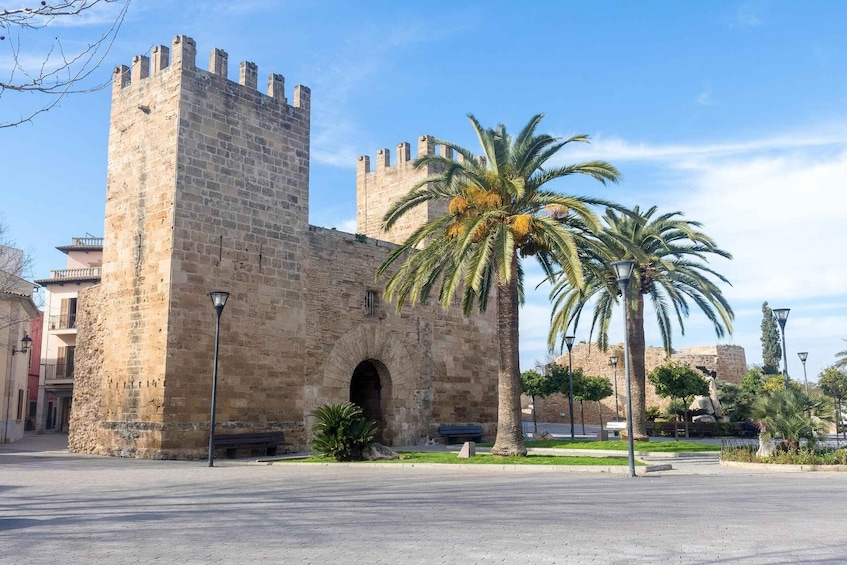 Cap de Formentor: Market, Beach, and Alcudia Tour