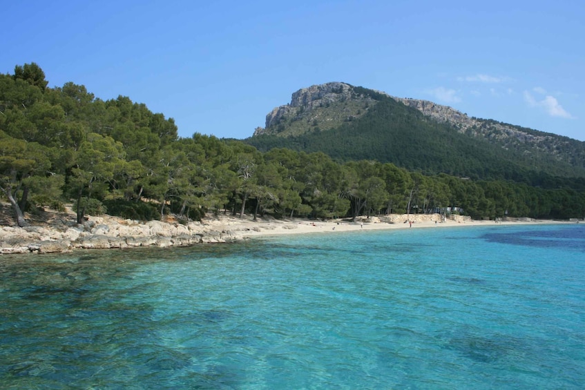 Picture 4 for Activity Tour of Formentor: Market, Beach, and Alcudia Town