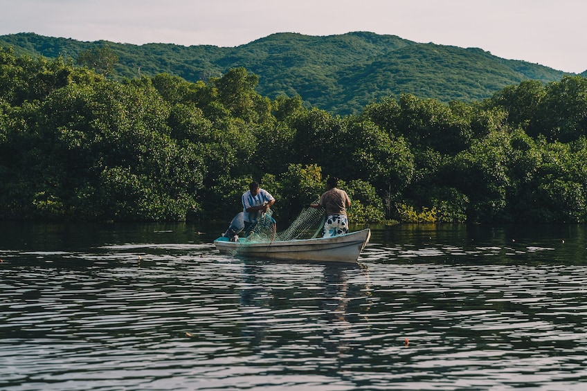 Manialtepec Lagoon by Kayak
