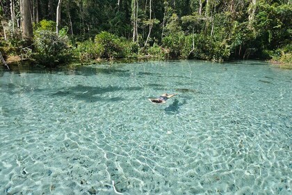 From Khao Lak : Cheow Lan Lake & Nam Rad Emerald Pool