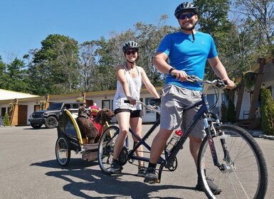 ケベック・シティ - オルレアン島でのタンデム自転車レンタル