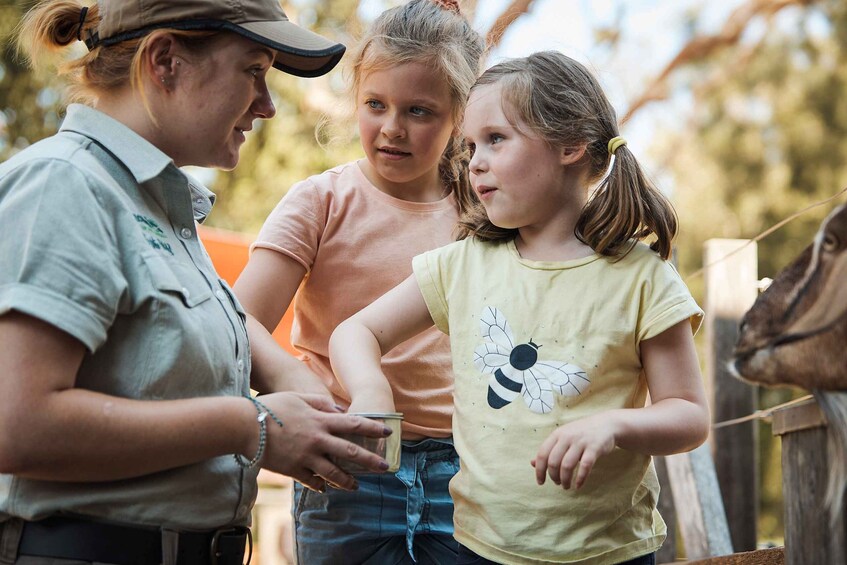 Picture 10 for Activity Sydney: Taronga Zoo & 24 or 48hr Sydney Harbour Hopper Pass