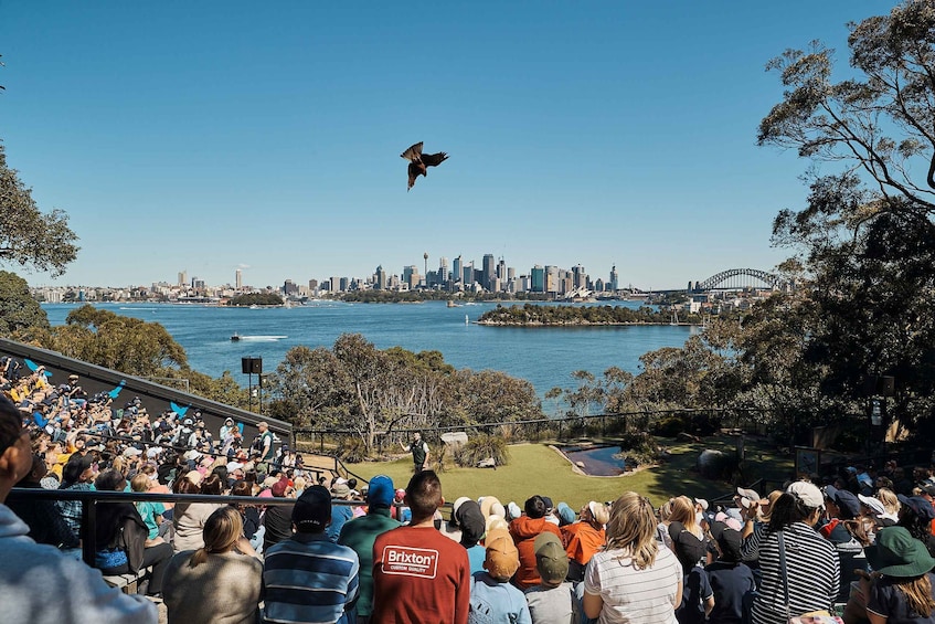 Picture 13 for Activity Sydney: Taronga Zoo Ticket with Return Ferry