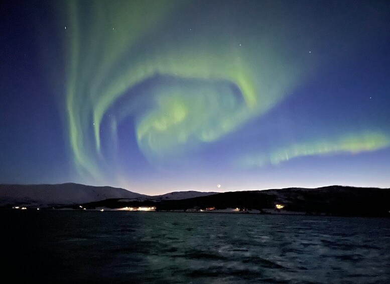 Picture 1 for Activity Tromso: Northern Lights Catamaran Cruise w/ Snacks & Drinks