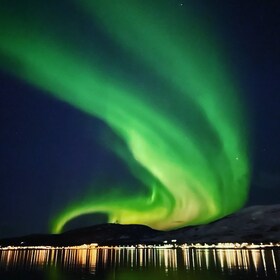 Tromsø: Nordlyskatamaran-cruise med snacks og drikke