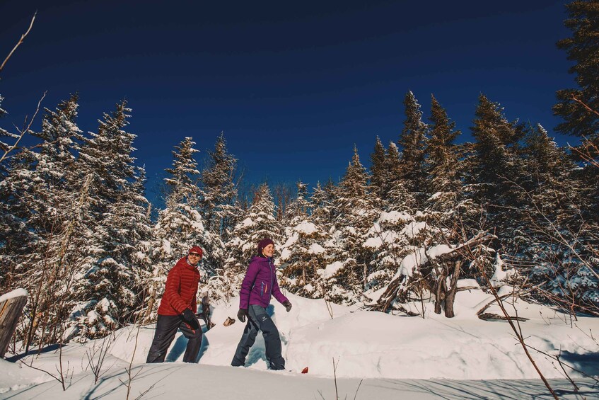 Picture 8 for Activity From Montreal: Mont-Tremblant National Park Hiking Day Trip