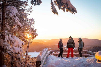 De Montréal : Randonnée d’une journée dans le parc national du Mont-Trembla...