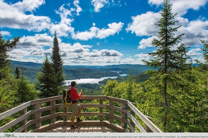 From Montreal: Mont-Tremblant National Park Hiking Day Trip