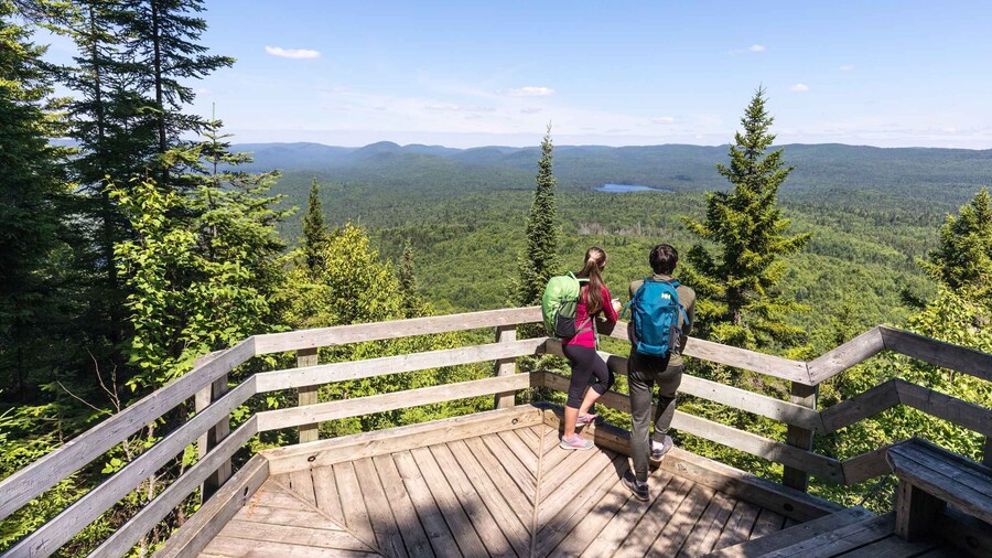Picture 6 for Activity From Montreal: Mont-Tremblant National Park Hiking Day Trip