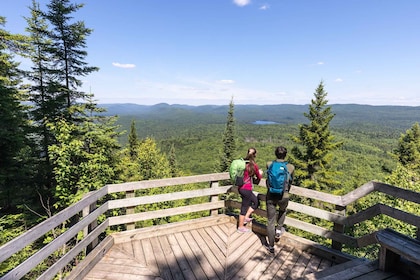 Desde Montreal: excursión de un día al Parque Nacional de Mont-Tremblant