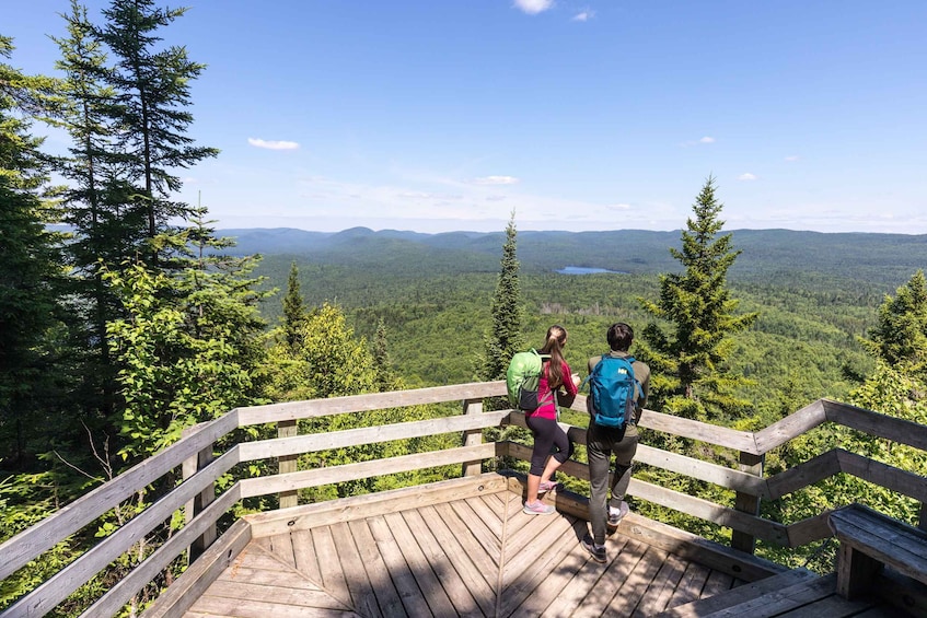 Picture 6 for Activity From Montreal: Mont-Tremblant National Park Hiking Day Trip