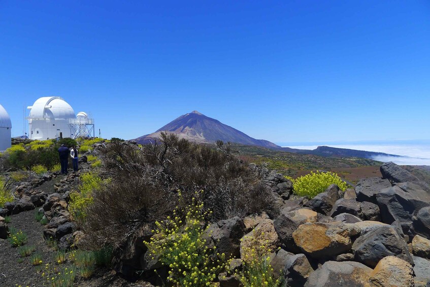 Picture 2 for Activity Tenerife: Mount Teide Observatory Astronomical Tour