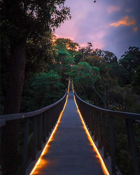Penang Habitat