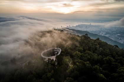 Penang Habitat