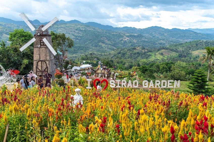 Affordable Cebu City + Hilly Land Tour