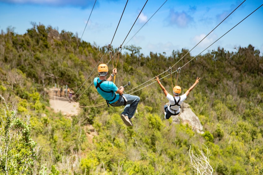 Zipline Experience: Sentry hill Zip & Flying Dutchman