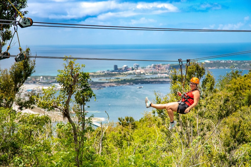 Zipline Experience: Sentry hill Zip & Flying Dutchman