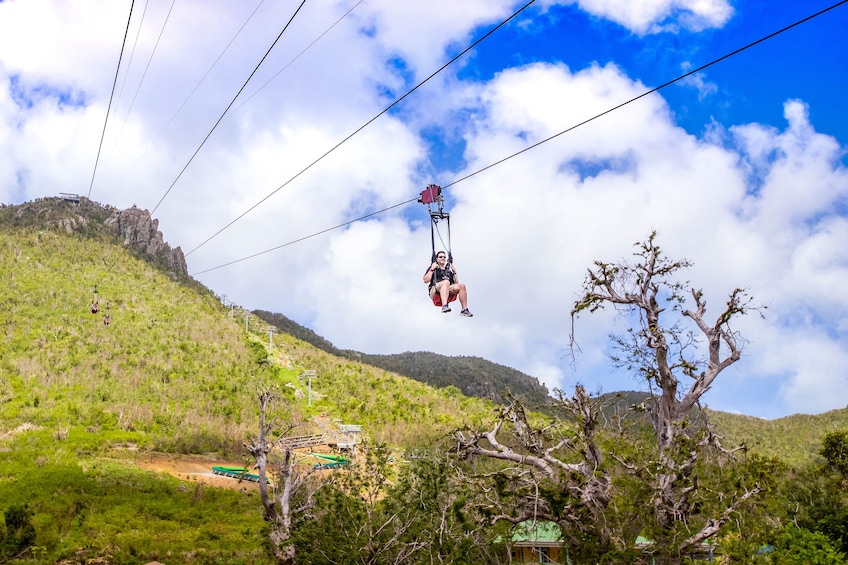 Zipline Experience: Sentry hill Zip & Flying Dutchman