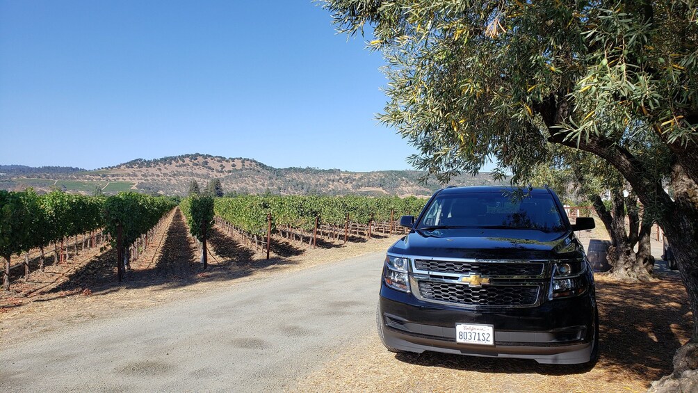 Napa Valley Airport Transfer