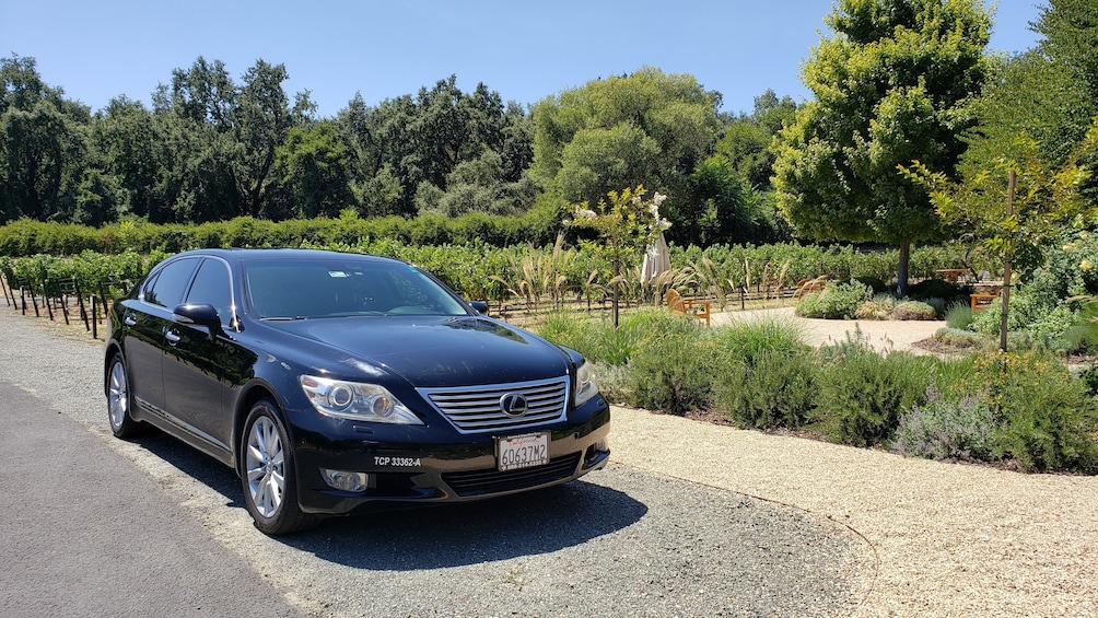 Napa Valley Airport Transfer