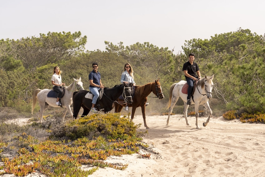 From Lisbon: Setubal & Comporta Beach Horse Riding