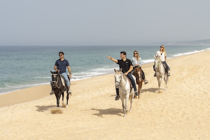 From Lisbon: Setubal & Comporta Beach Horse Riding
