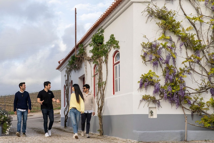 Sintra with Pena Palace and Winery Tour from Lisbon