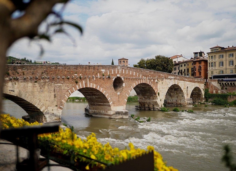 Picture 3 for Activity Verona Bike Tour, self-guided