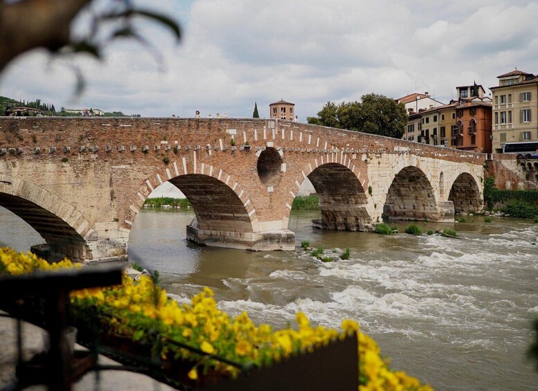 Picture 3 for Activity Verona Bike Tour, self-guided