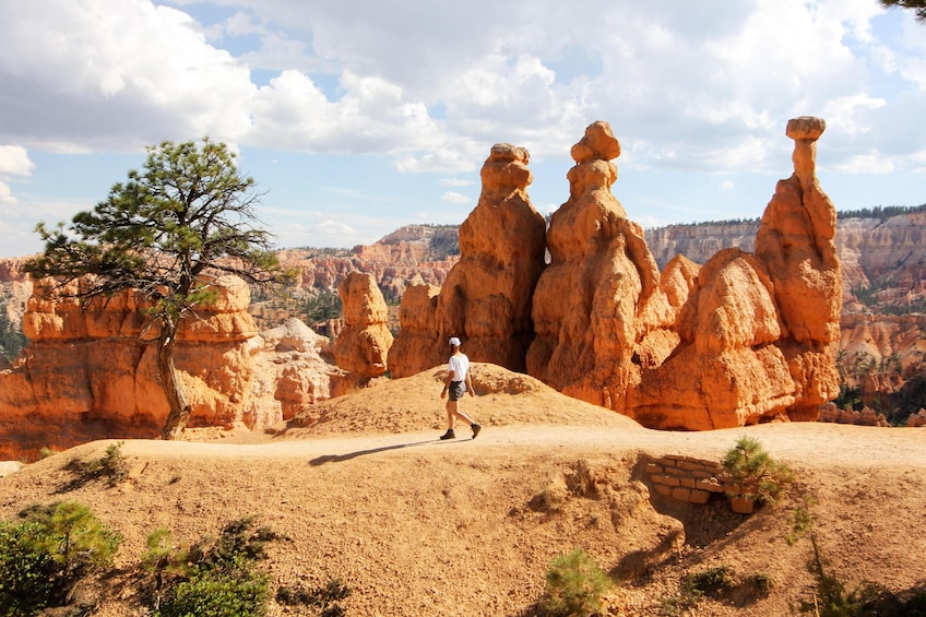 Shuttle: Between Las Vegas, Bryce Canyon and Zion National Park