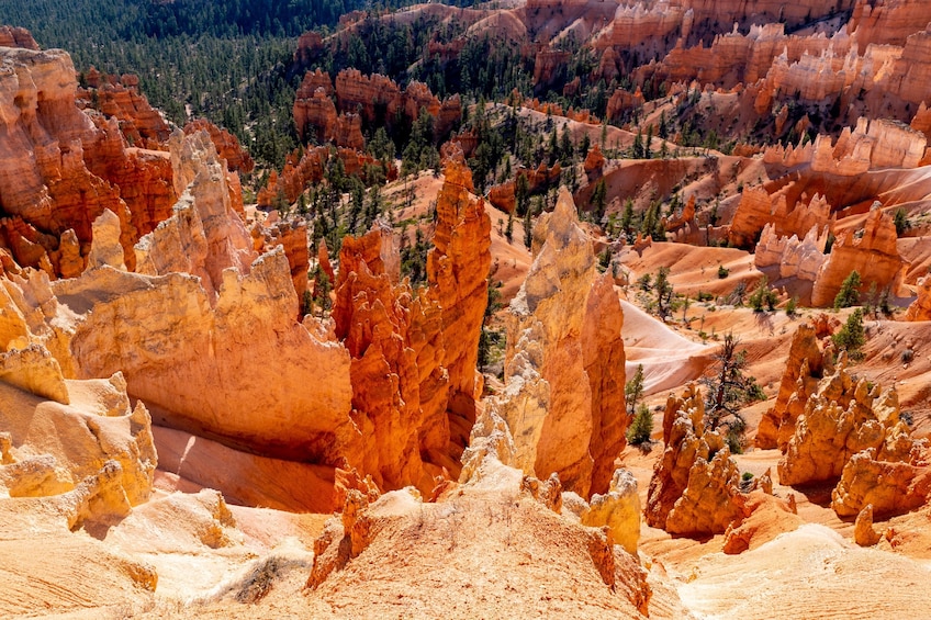 Shuttle: Between Las Vegas, Bryce Canyon and Zion National Park
