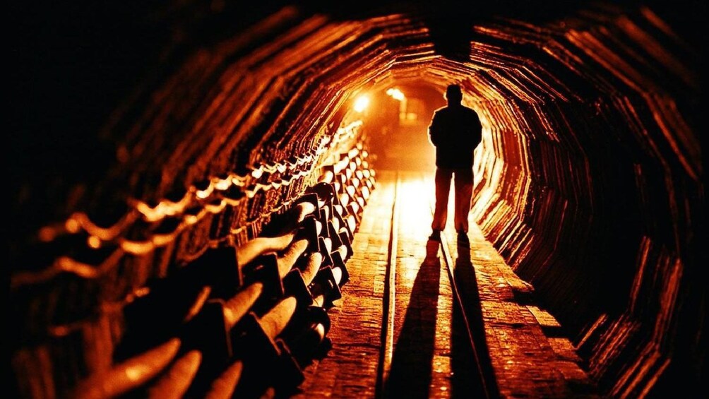 Show item 4 of 5. Journey down a salt mine tunnel in Salzburg