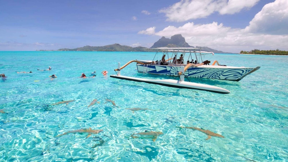 Bora Bora: Lagoon Tour and Snorkeling Experience