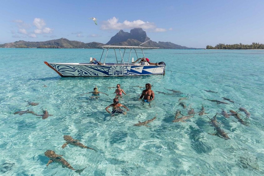 Picture 9 for Activity Bora Bora: Lagoon Tour and Snorkeling Experience