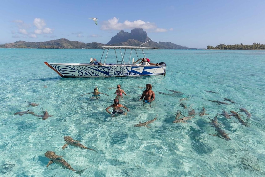 Picture 9 for Activity Bora Bora: Lagoon Tour and Snorkeling Experience