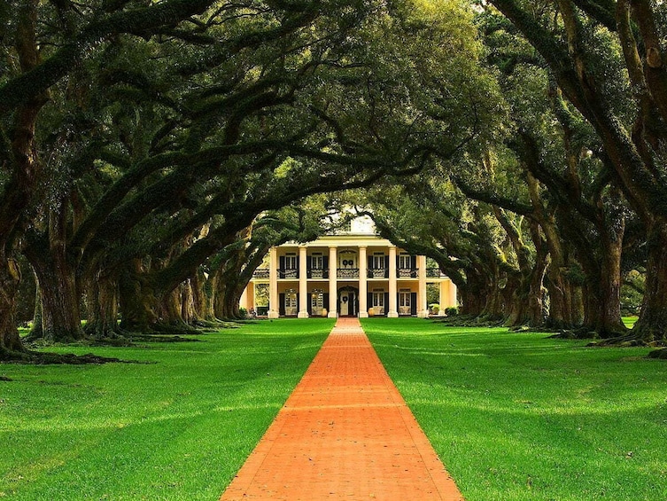 Afternoon Oak Alley Plantation and Large Airboat Swamp