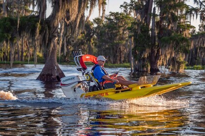 Clermont: Chain of Lakes Self-Driving Catboat Tour