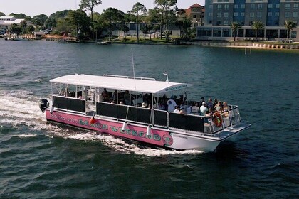 Family Friendly Dolphin Cruise with Drinks for all Ages!