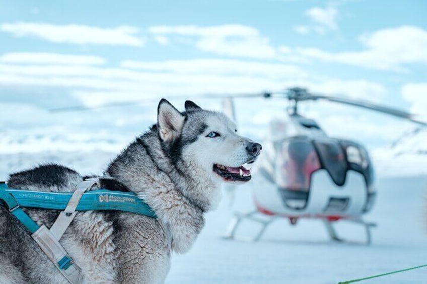 Ice cave Tour with Helicopter
